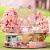 Miniaturowy domek - Bajkowa sakura