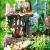 Majowe konwalie*- Miniaturowy domek