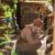 Poszukiwacze skarbów* - Miniaturowy domek Book Nook Joincon