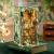 Sekrety lasu* - Book Nook